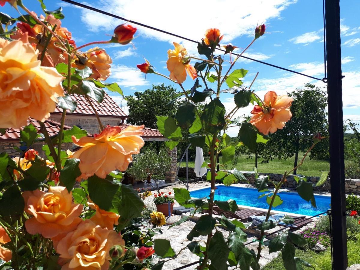 Holiday Home Toma Puljane Ngoại thất bức ảnh